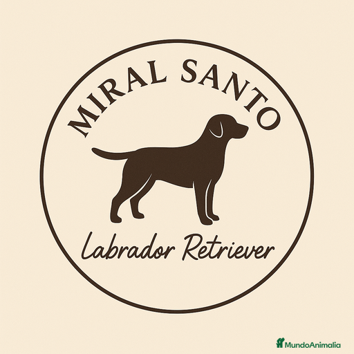 Imagen de galería {{count}}