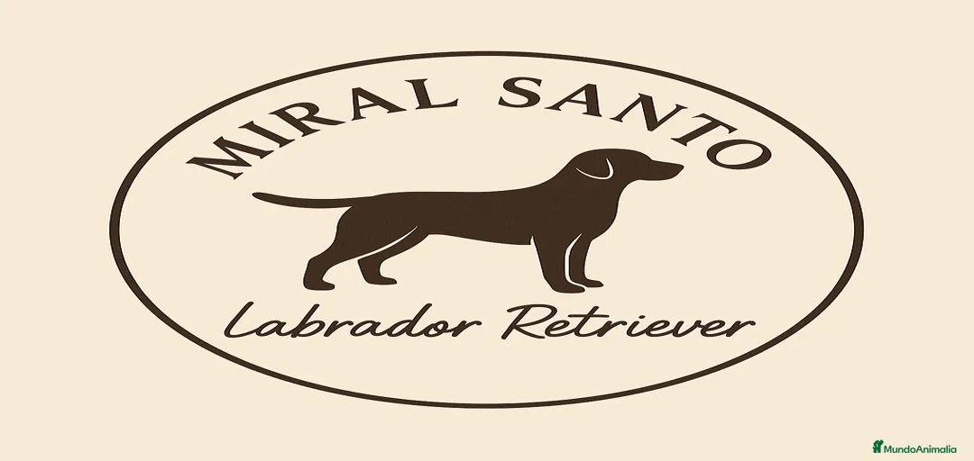 Imagen de galería {{count}}