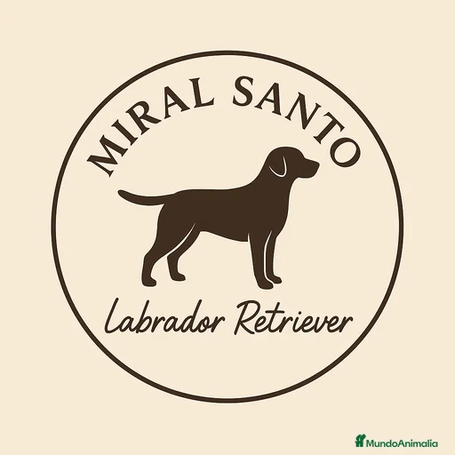 Imagen de galería {{count}}