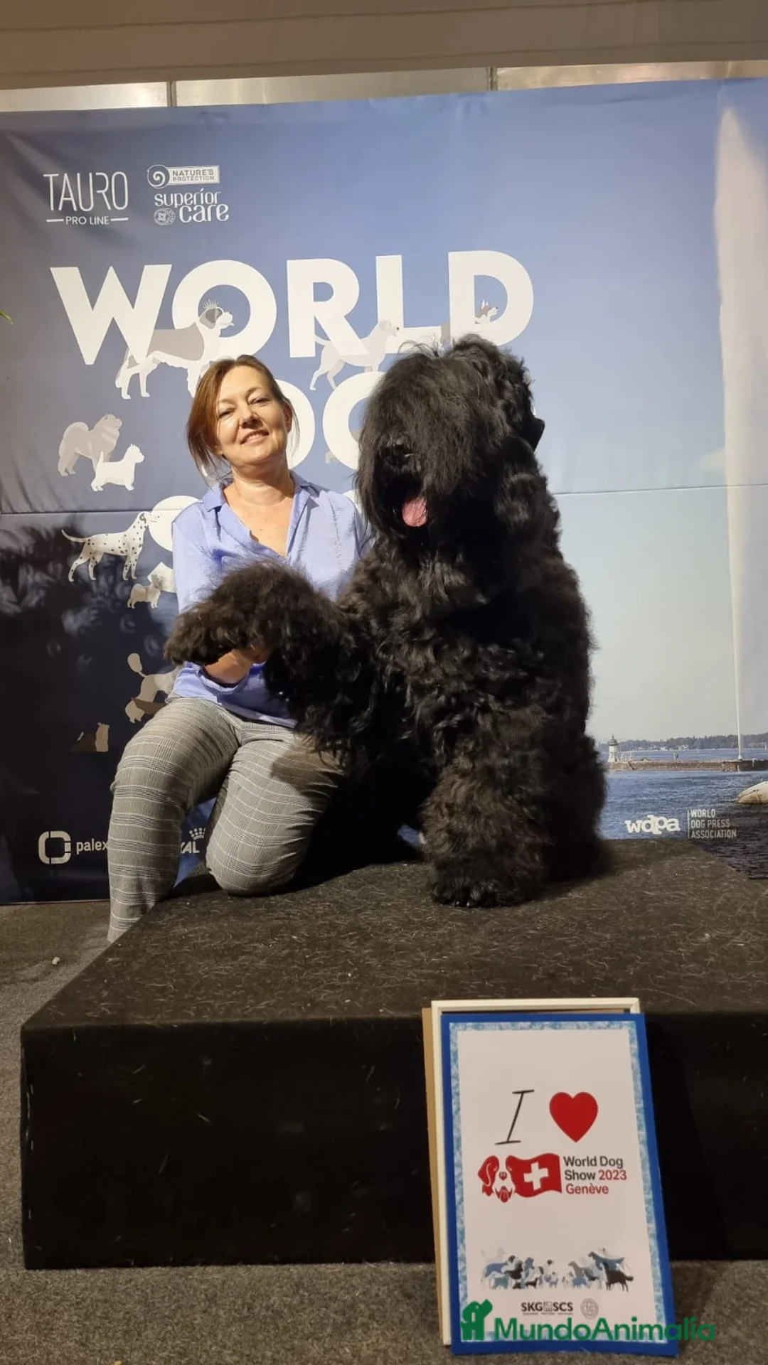 Imagen de galería {{count}}