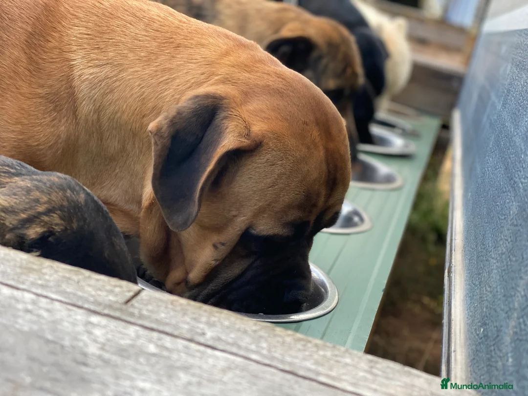 Imagen de galería {{count}}