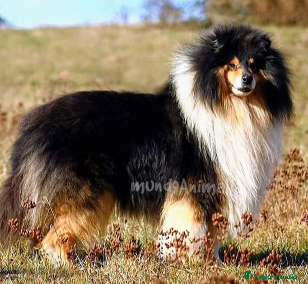 Imagen de galería {{count}}