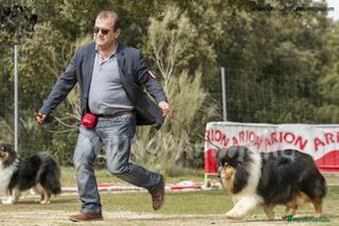 Imagen de galería {{count}}