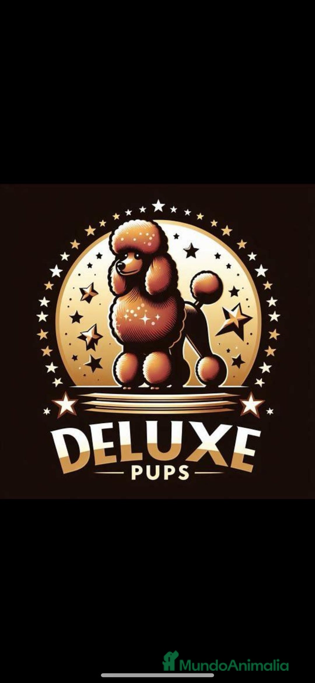 Imagen de galería {{count}}