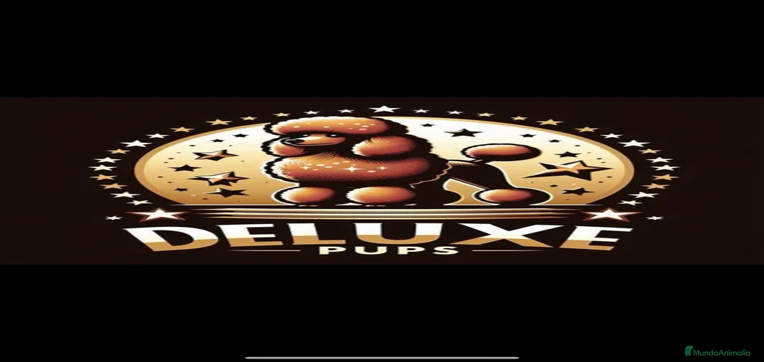 Imagen de galería {{count}}