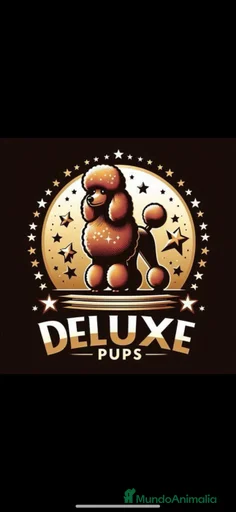 Imagen de galería {{count}}