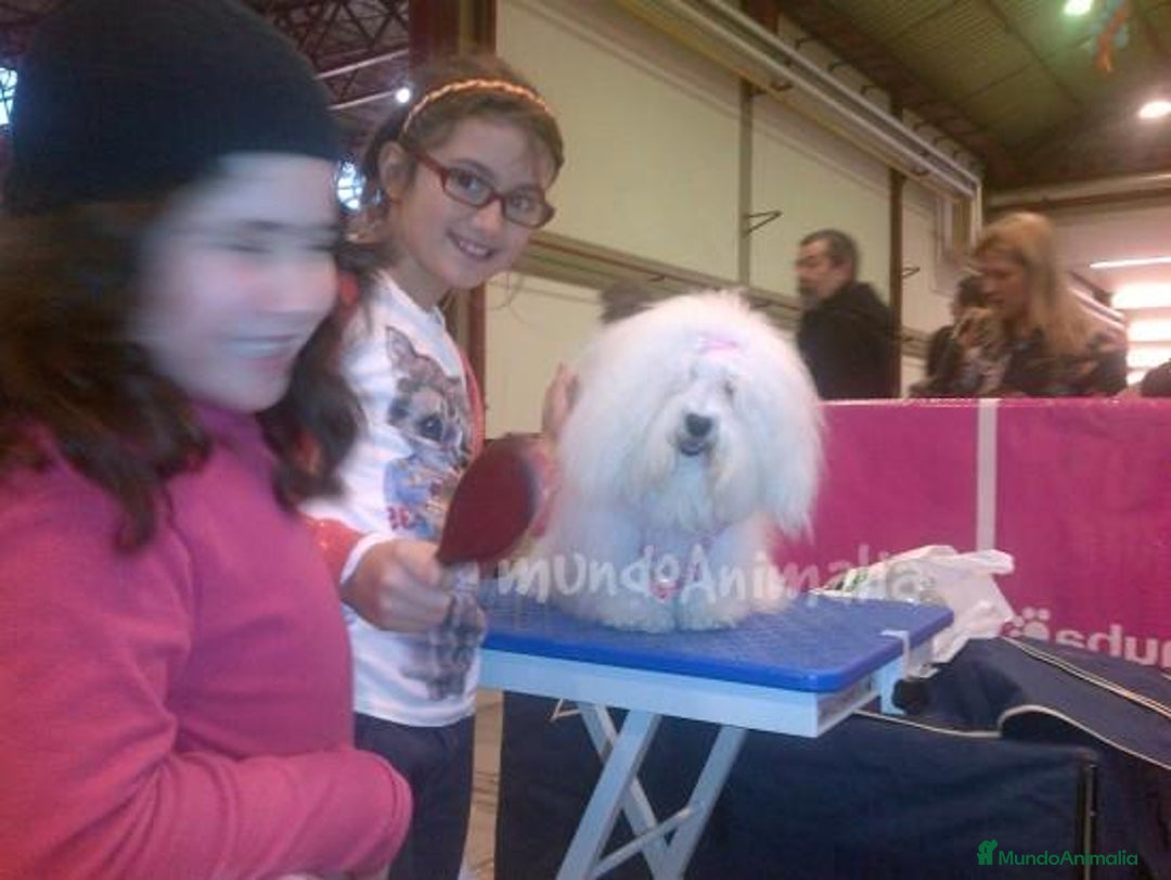 Imagen de galería {{count}}