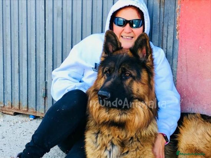 Imagen de galería {{count}}