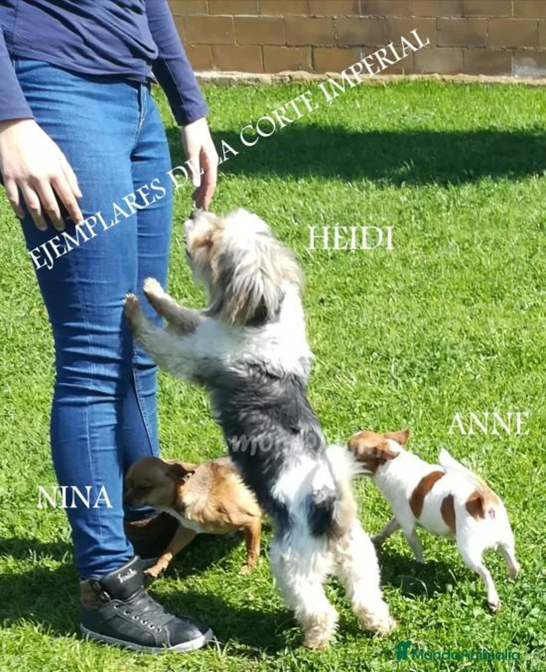 Imagen de galería {{count}}