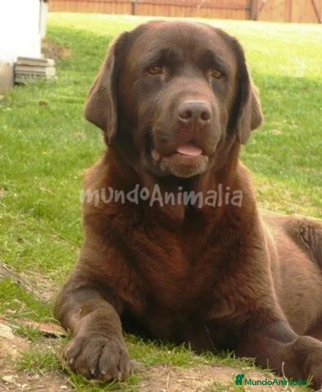 Imagen de galería {{count}}