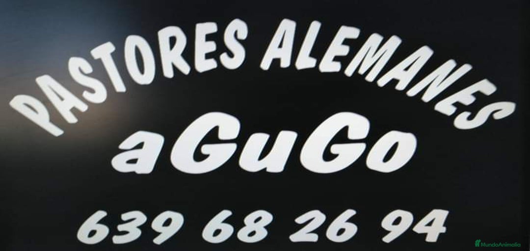 Imagen de galería {{count}}