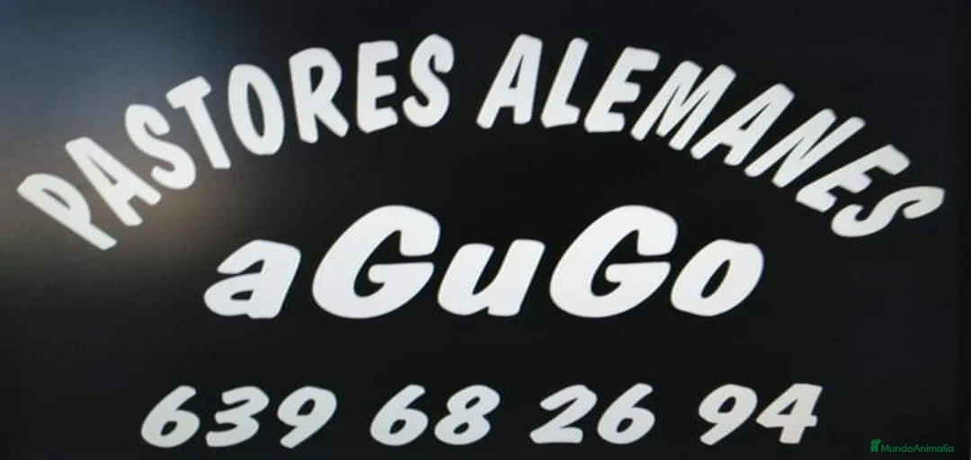 Imagen de galería {{count}}