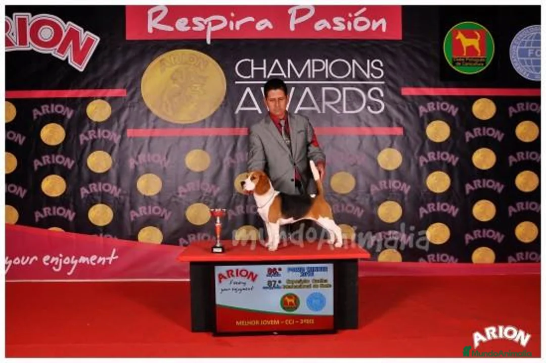 Imagen de galería {{count}}