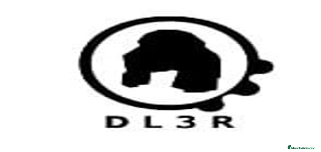 Imagen de galería {{count}}