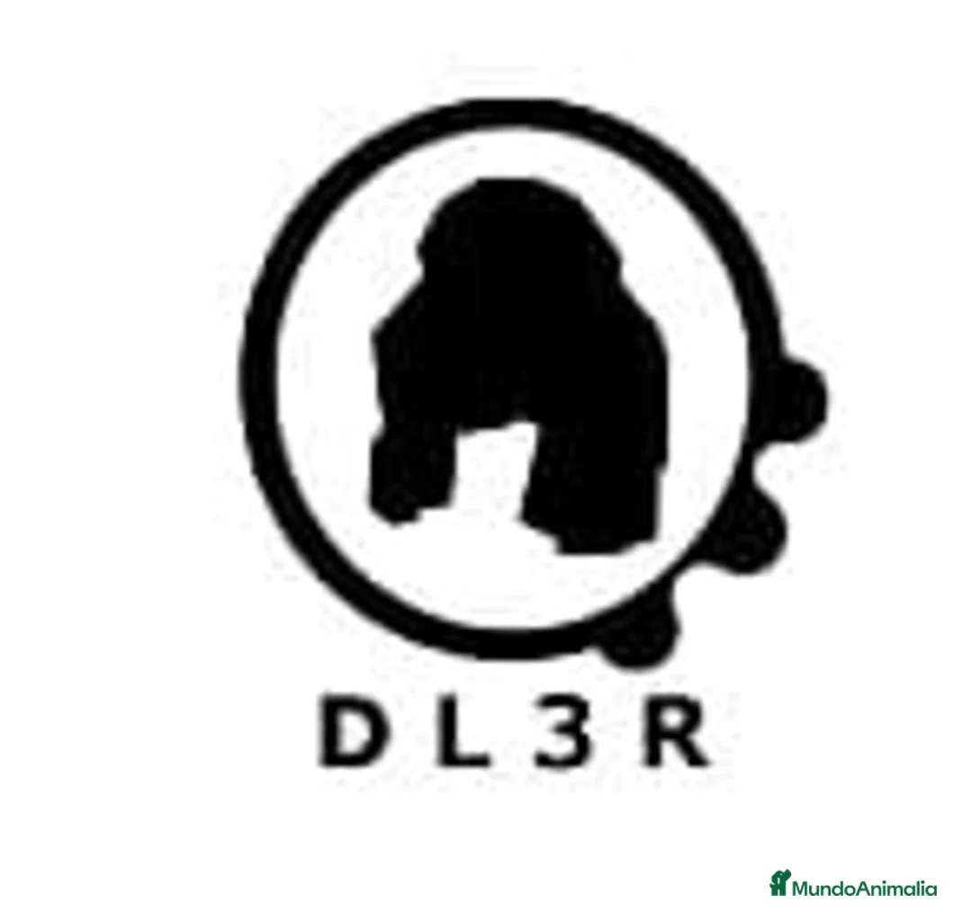 Imagen de galería {{count}}