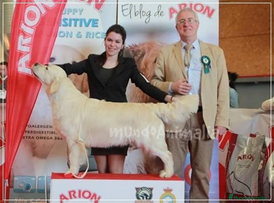 Imagen de galería {{count}}