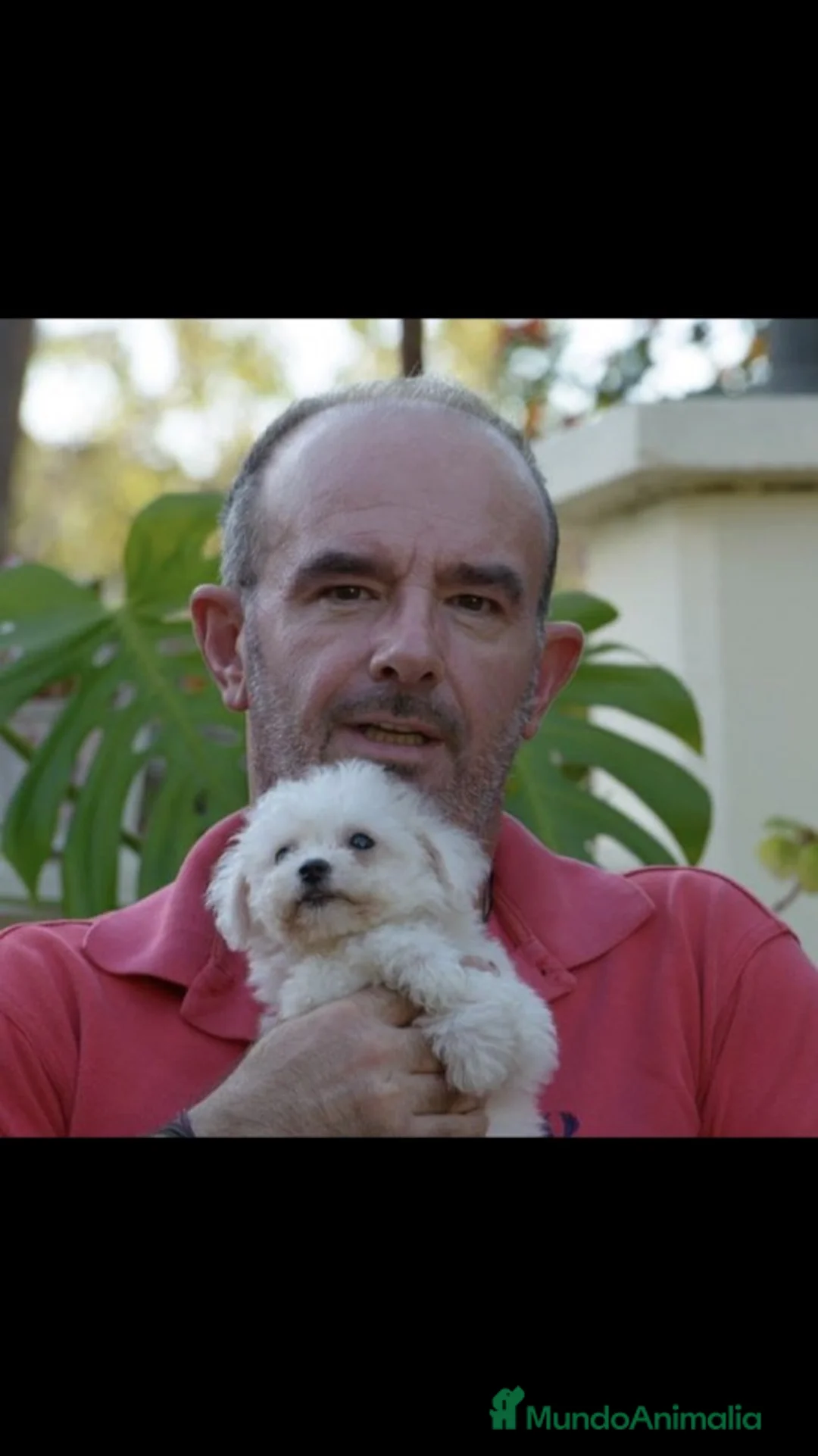 Imagen de galería {{count}}