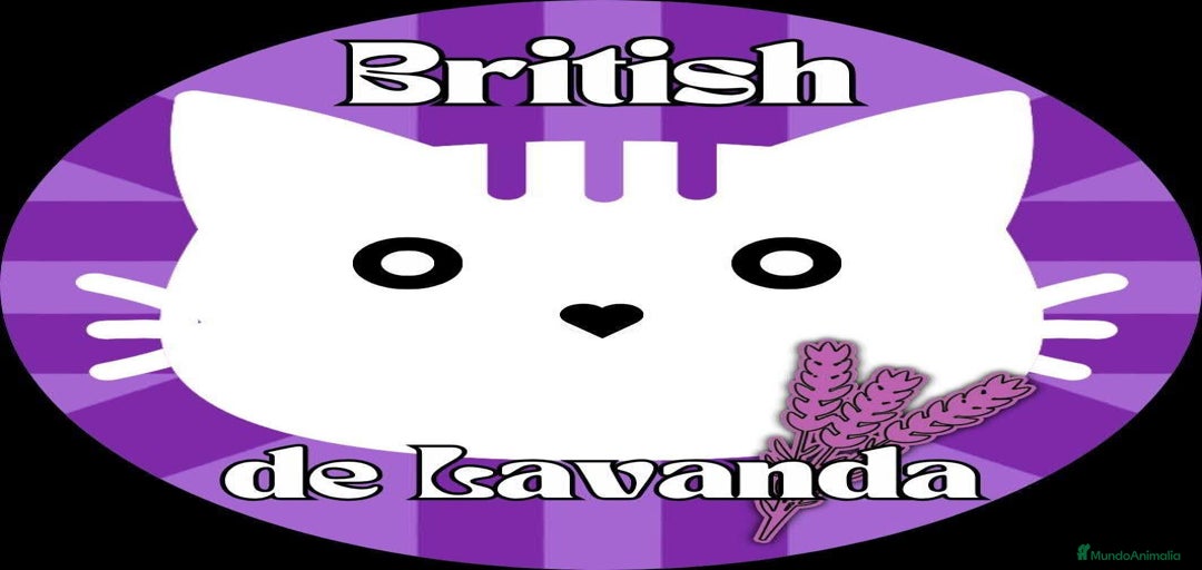 Imagen de galería {{count}}