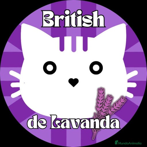 Imagen de galería {{count}}