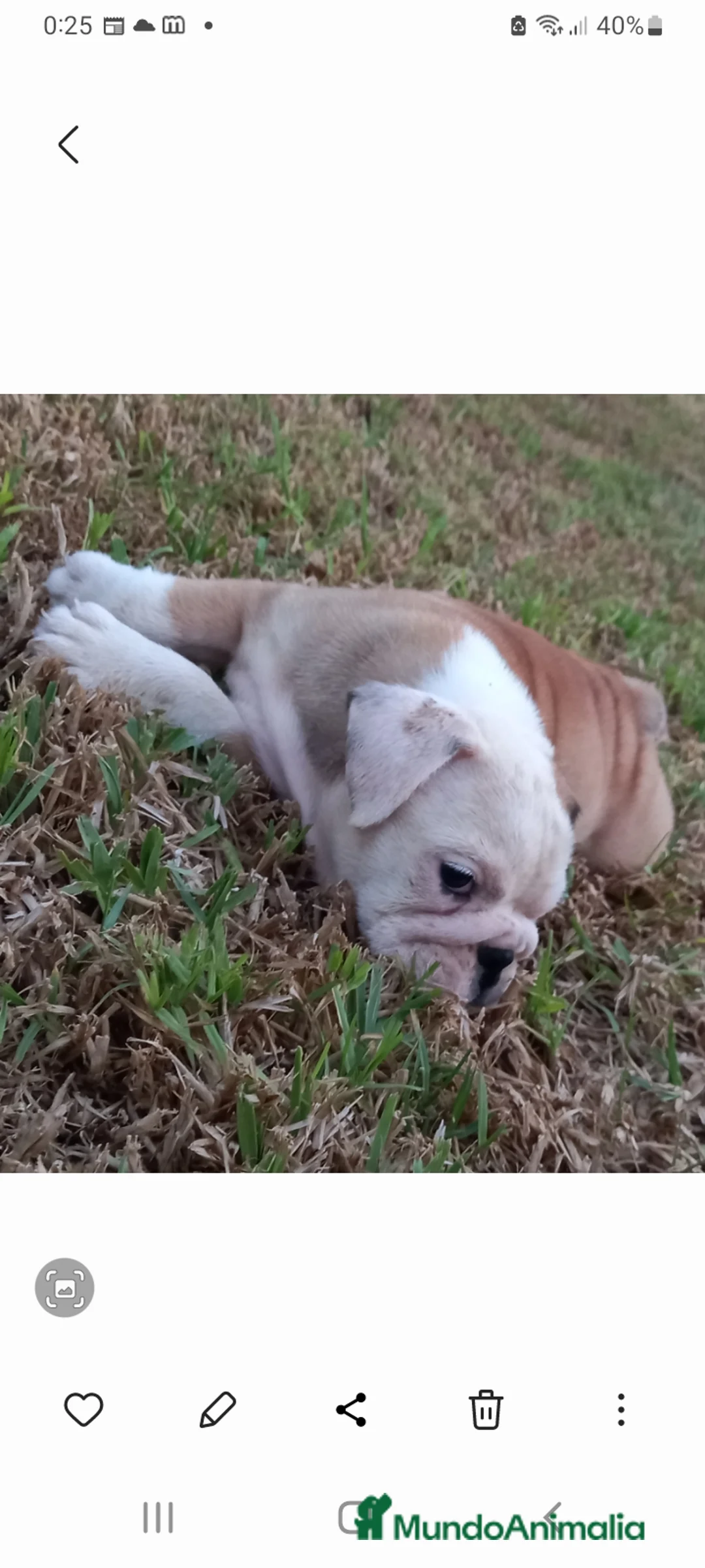 Imagen de galería {{count}}