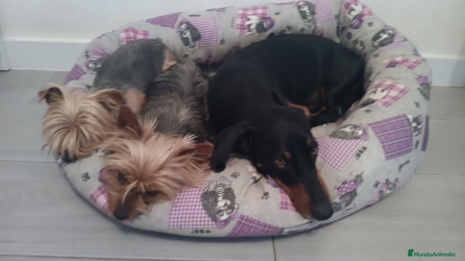 Imagen de galería {{count}}