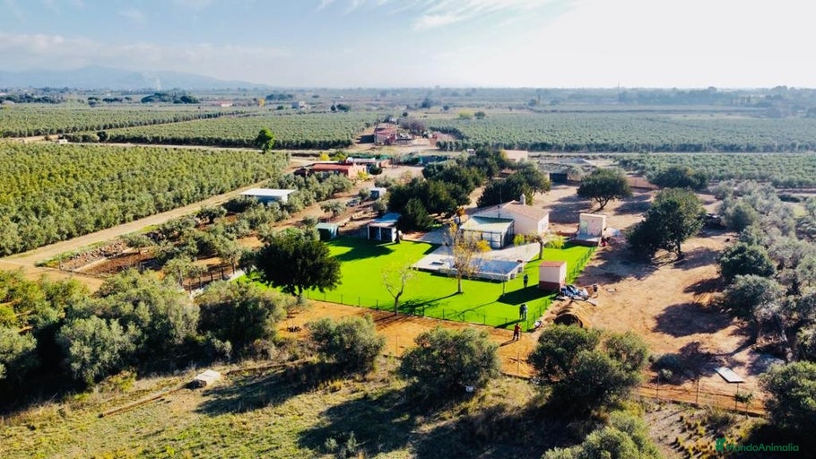 Imagen de galería {{count}}