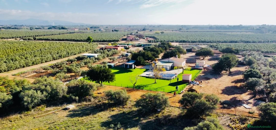 Imagen de galería {{count}}