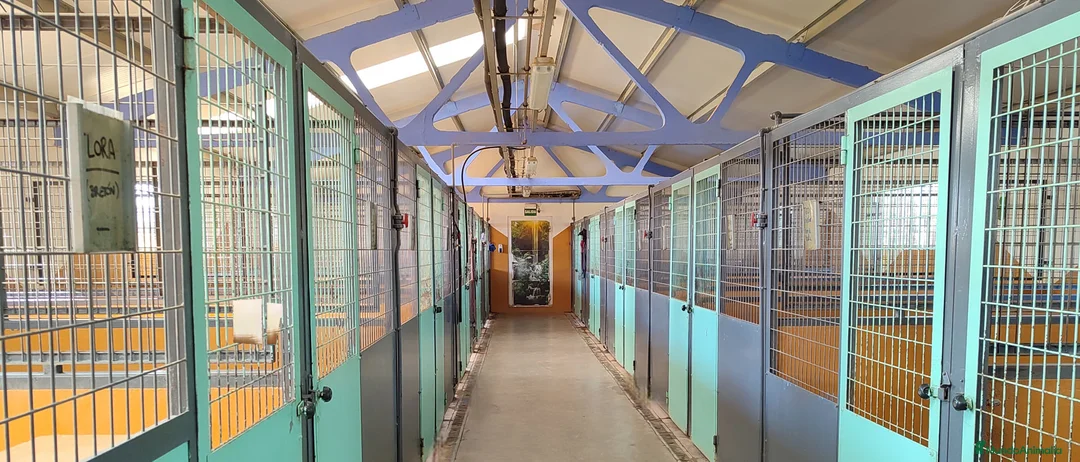 Imagen de galería {{count}}