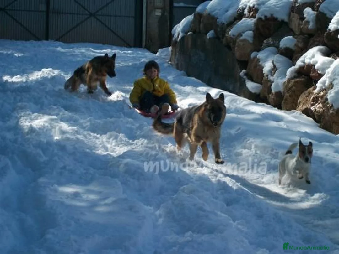 Imagen de galería {{count}}