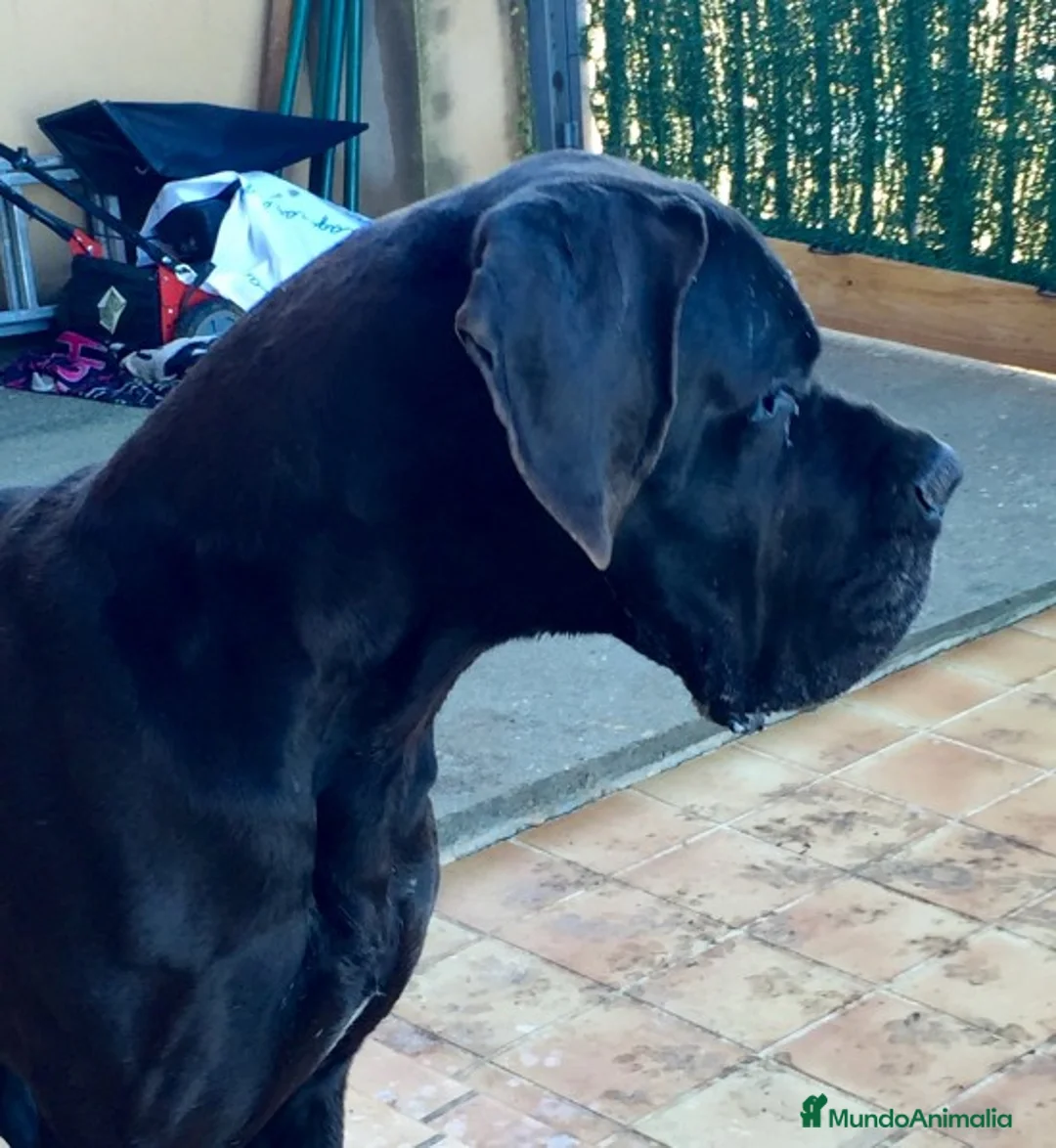 Imagen de galería {{count}}