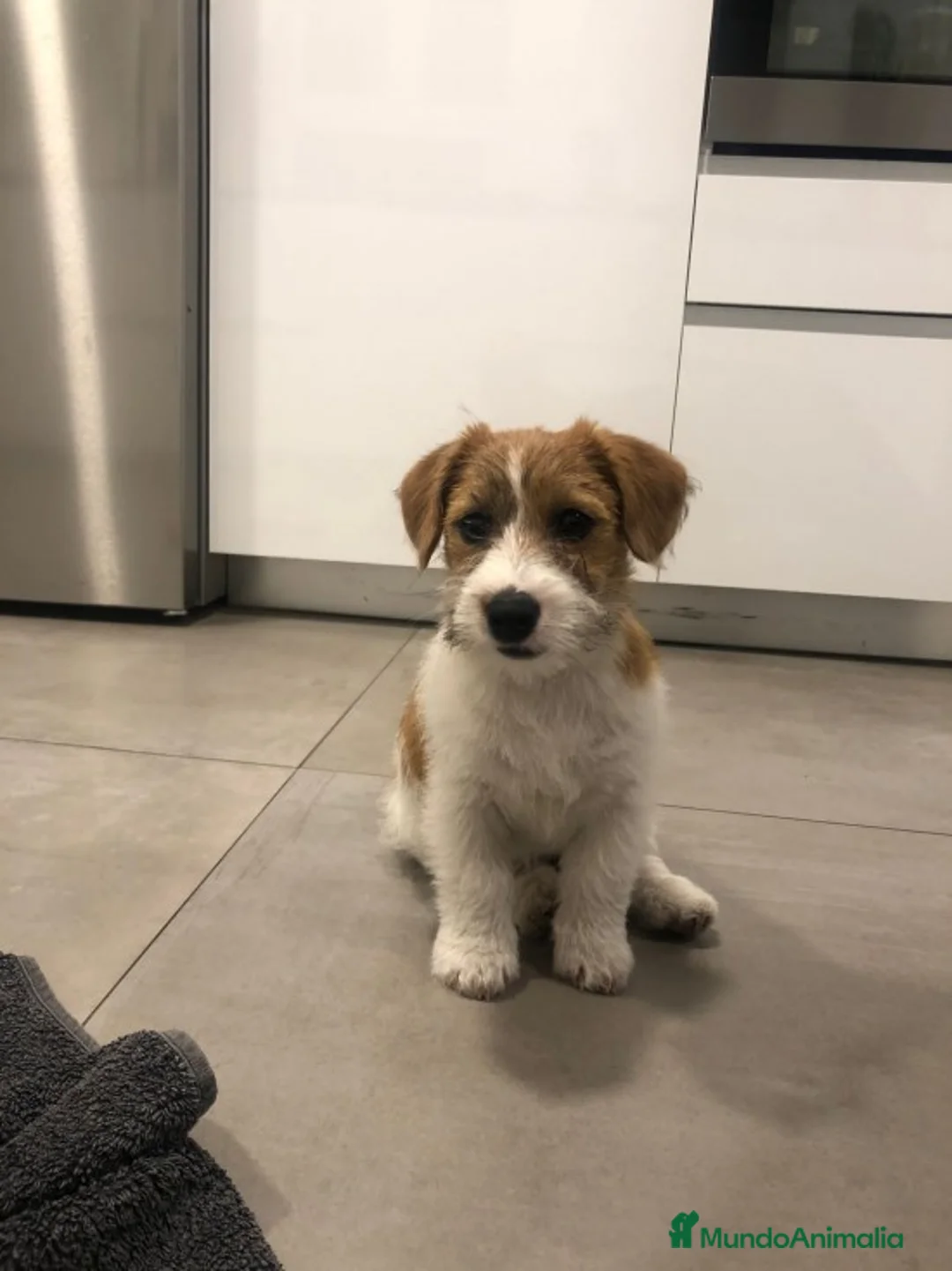 Imagen de galería {{count}}