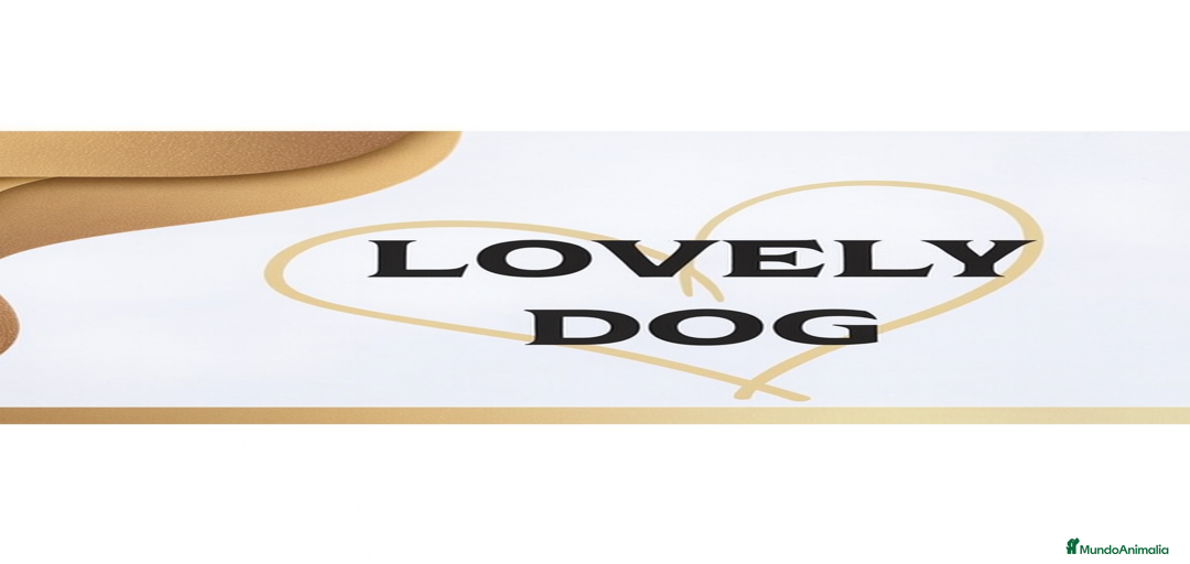 Imagen de galería {{count}}