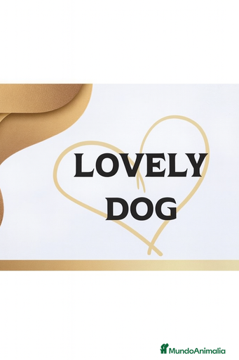 Imagen de galería {{count}}