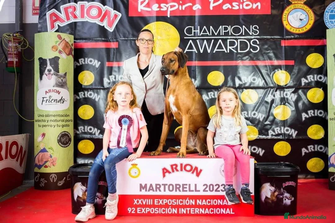 Imagen de galería {{count}}