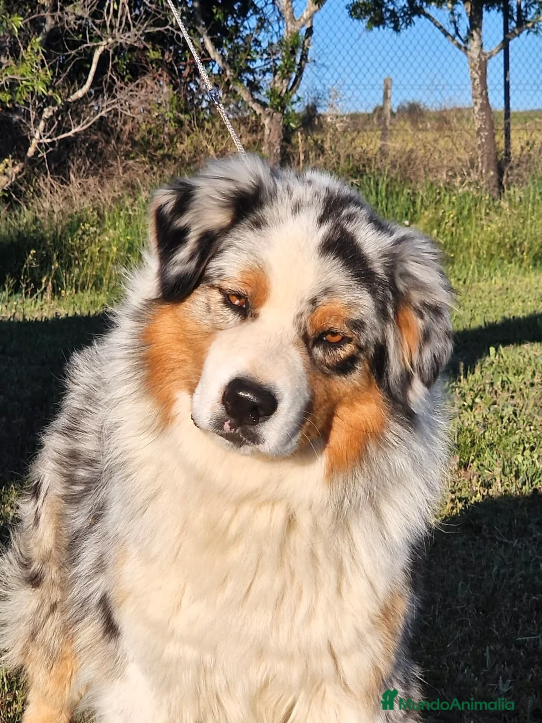 Imagen de galería {{count}}