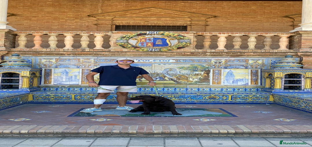 Imagen de galería {{count}}