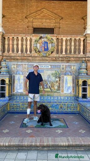 Imagen de galería {{count}}