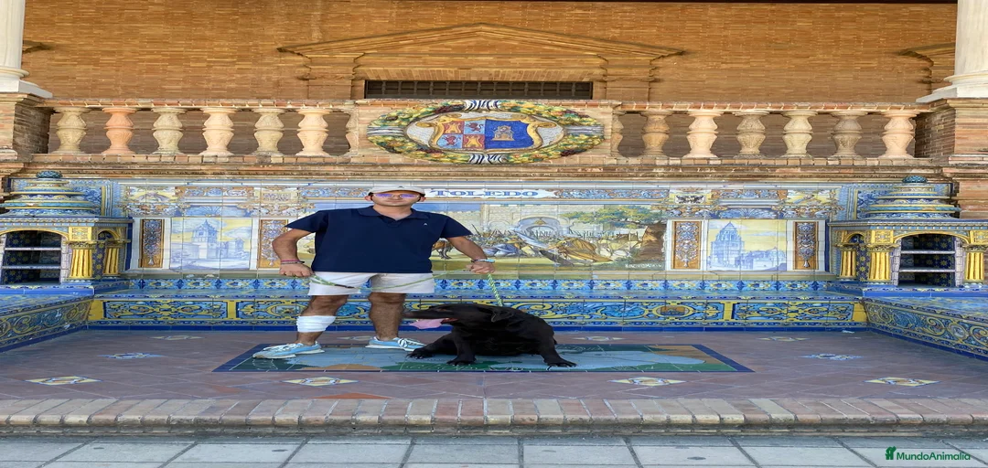 Imagen de galería {{count}}