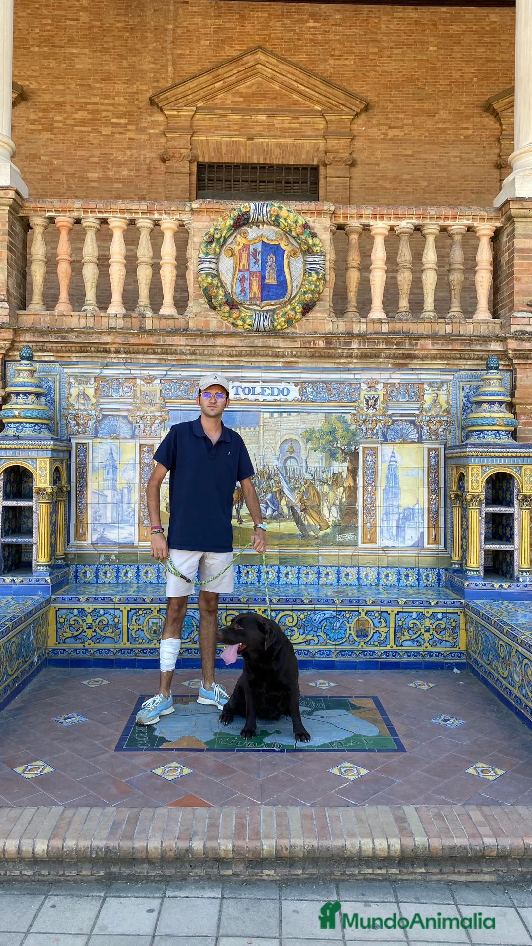 Imagen de galería {{count}}