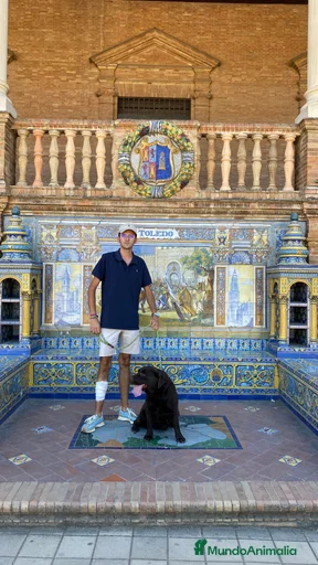 Imagen de galería {{count}}