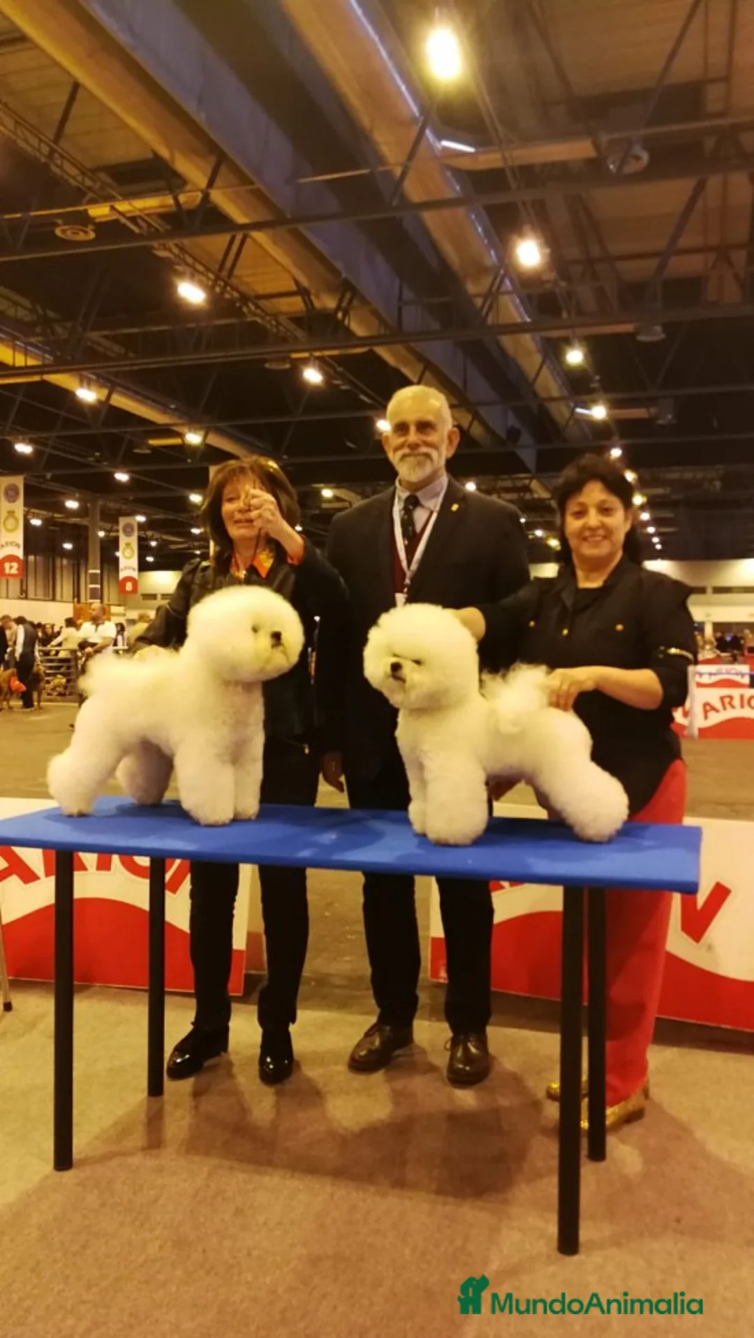 Imagen de galería {{count}}