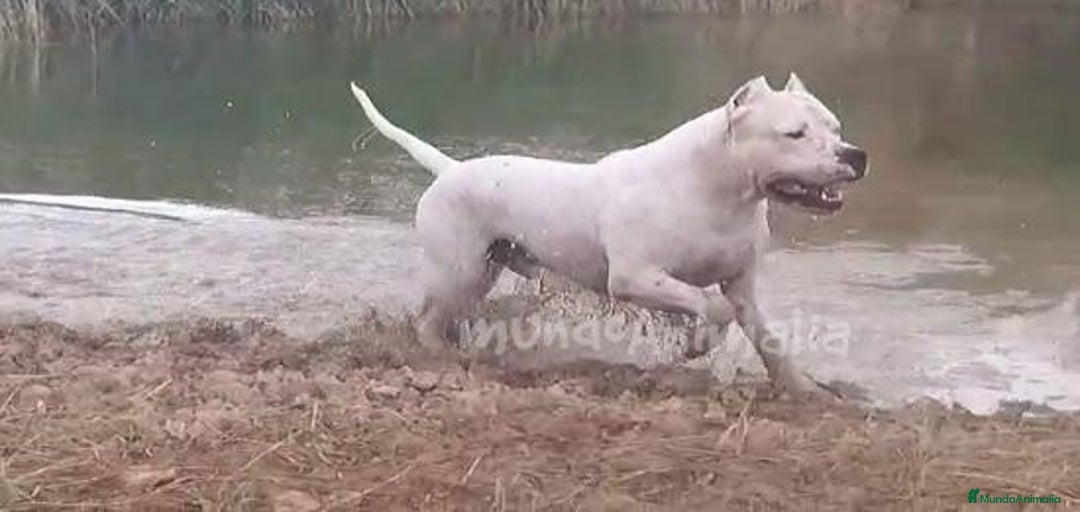 Imagen de galería {{count}}