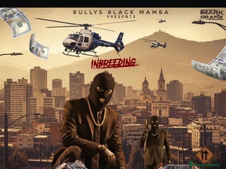 American Bully perros American Bully - Anuncio 1