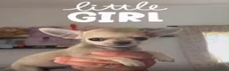 Chihuahua perros en venta: Preciosos chihuahuas toy cabeza manzana - Anuncio 4
