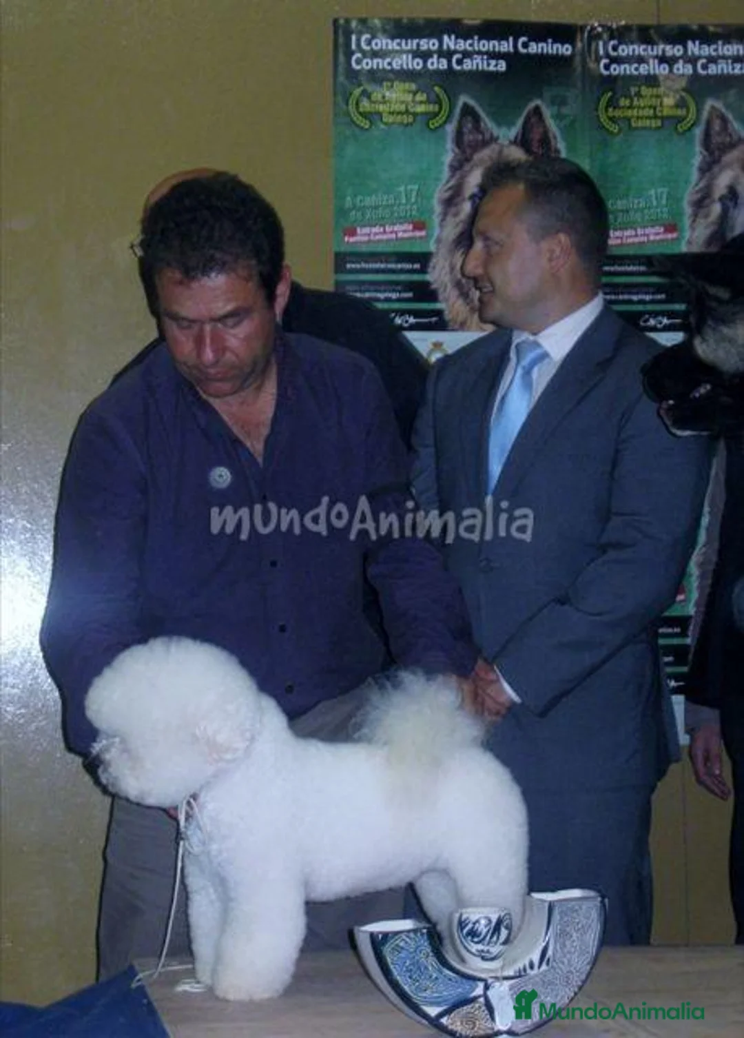 Imagen de galería {{count}}