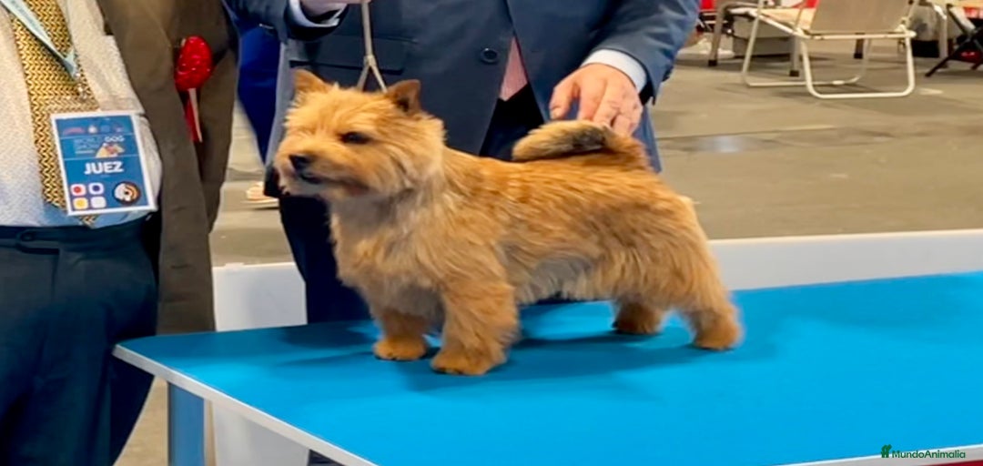 Imagen de galería {{count}}