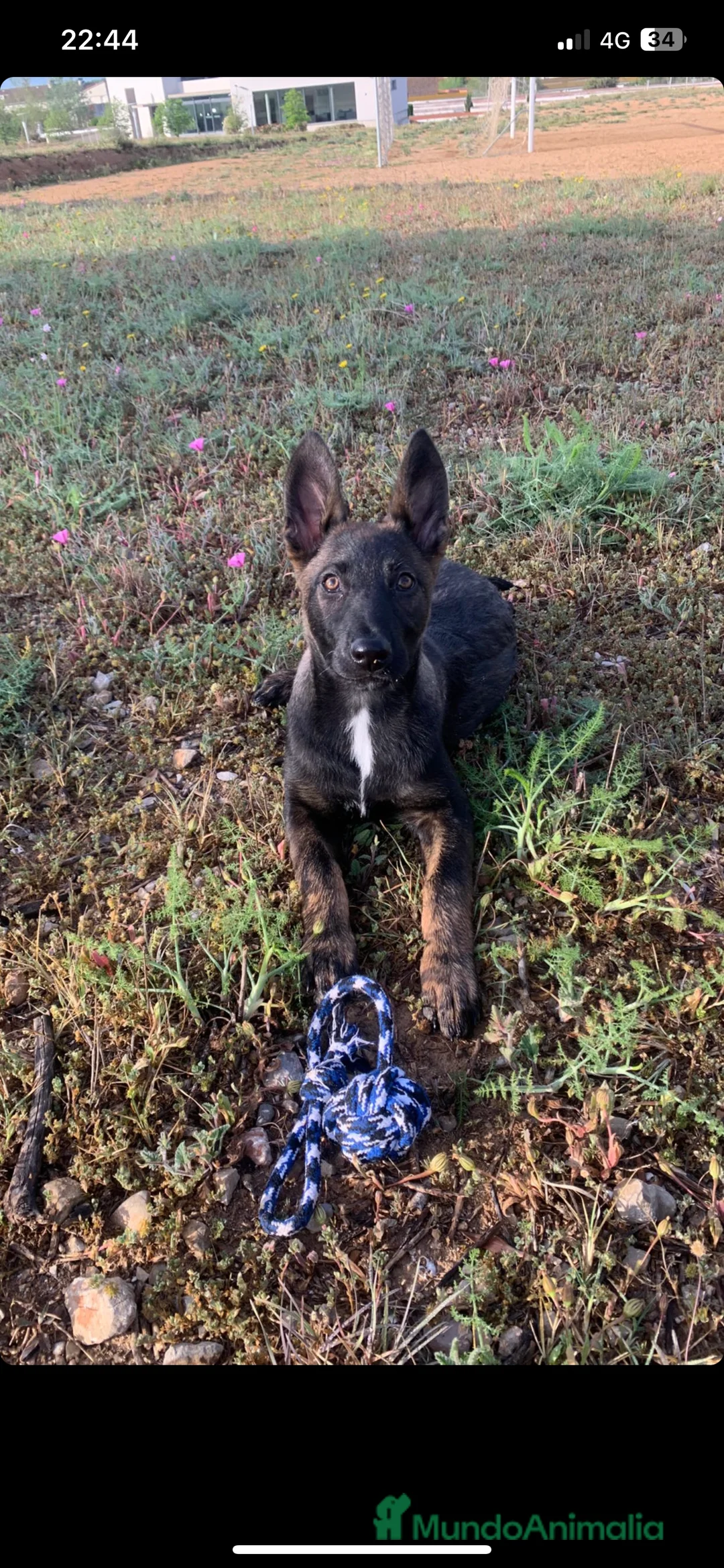 Imagen de galería {{count}}