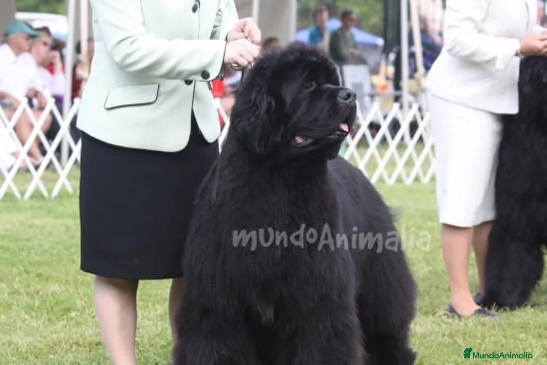 Imagen de galería {{count}}