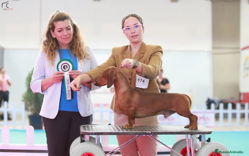 Imagen de galería {{count}}