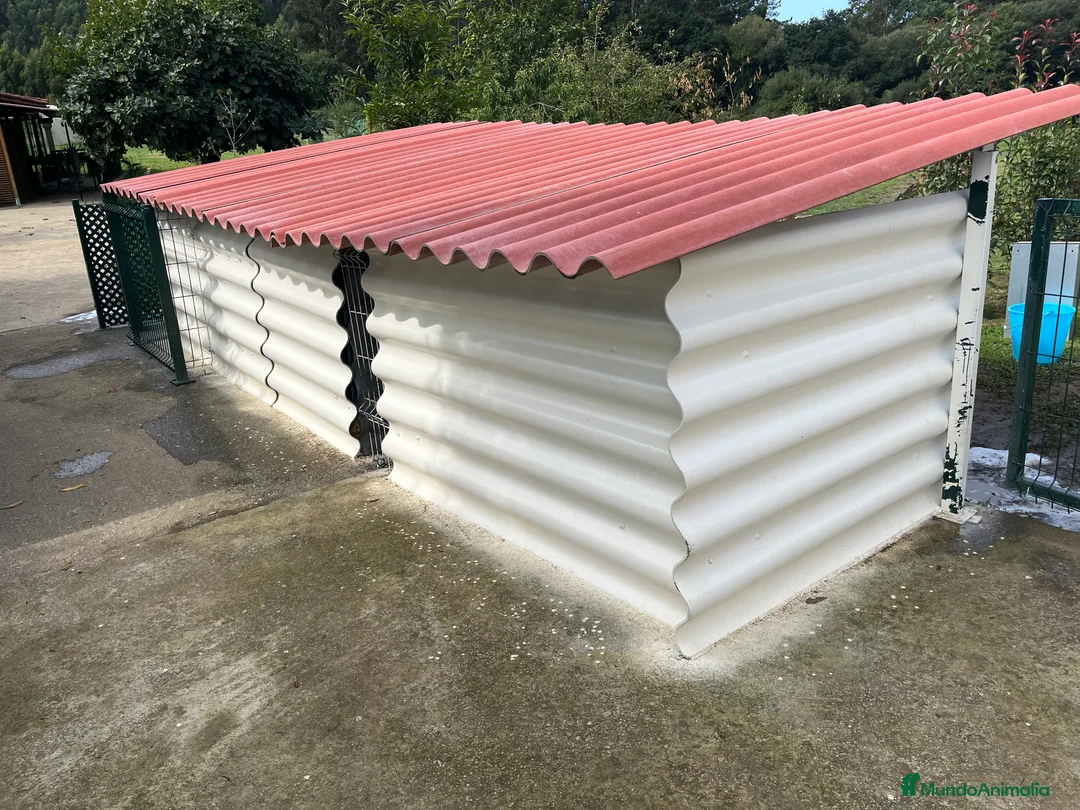 Imagen de galería {{count}}